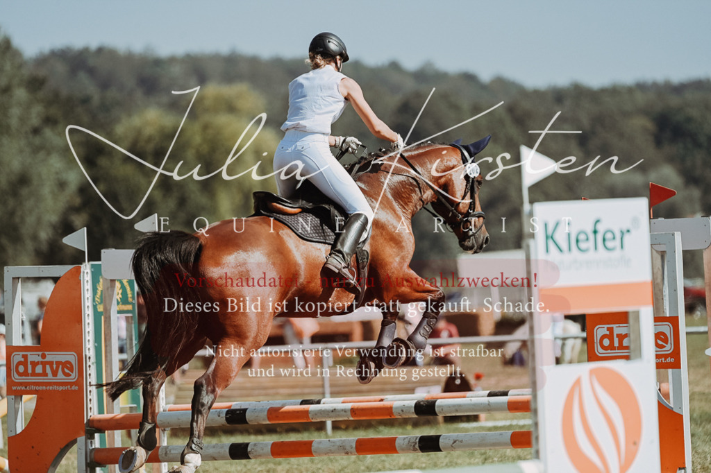 DSC_9515 | Pferde- und Turnierfotografie in Westsachsen. Pferdeportraits, Auftragszeichnungen und intuitive Kunst.