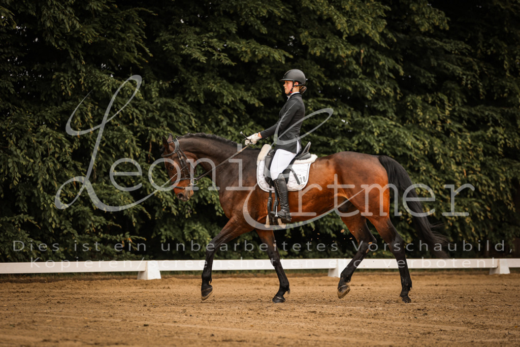 DoDrA00053 | Leoni Ertmer Photography - Realisiert mit Pictrs.com