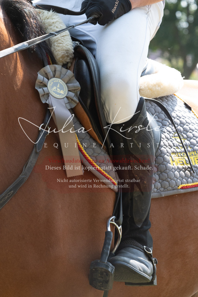 DSC_0726 | Pferde- und Turnierfotografie in Westsachsen. Pferdeportraits, Auftragszeichnungen und intuitive Kunst.