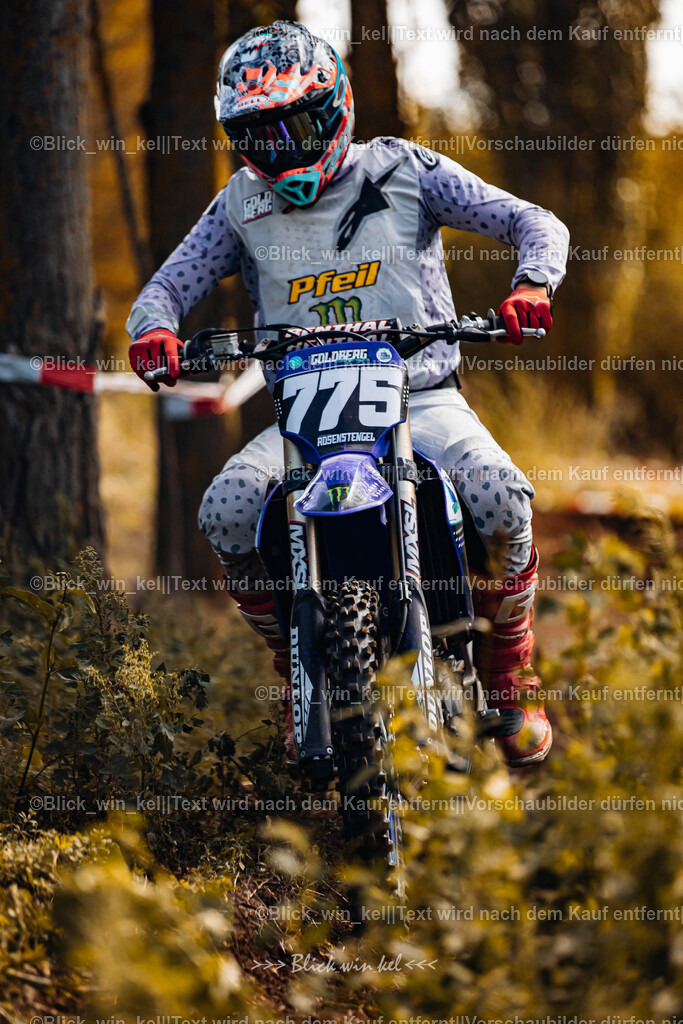 E68A2542 | blick_win_kel