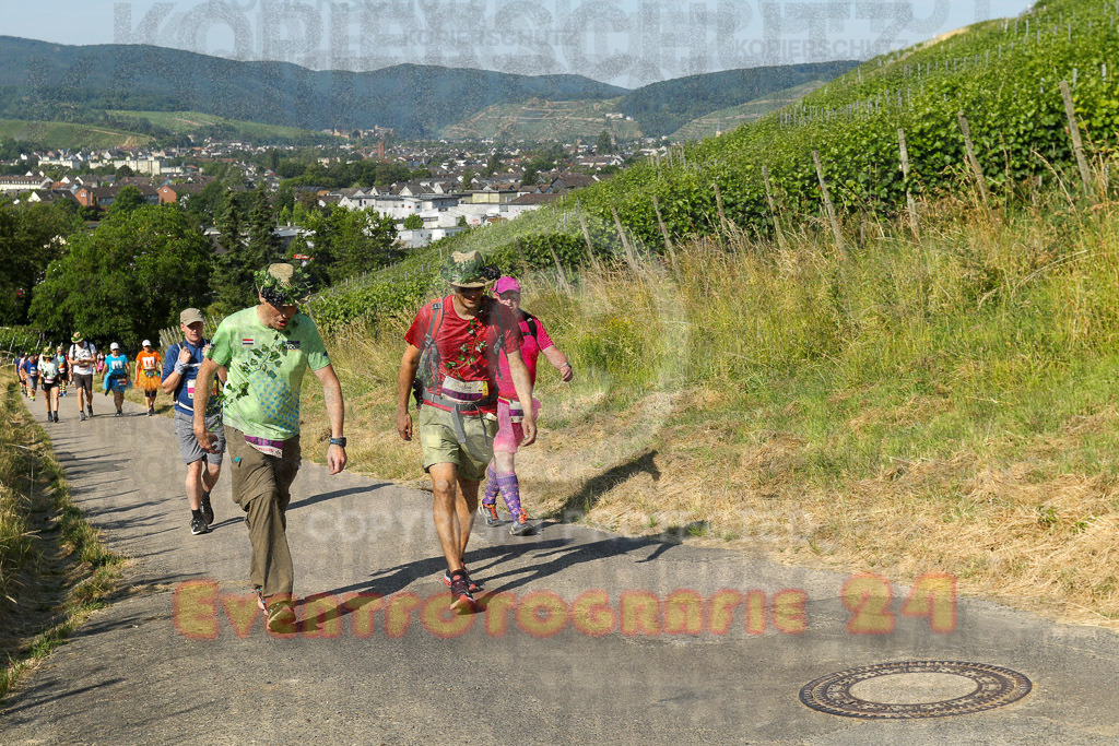 230617_0925_EV9_6504 | Sportfotografie im Rhein-Sieg Kreis, Köln, Bonn, NRW, Rheinland Pfalz, Hessen, etc. Unser Tätigkeitsfeld umfasst den Laufsport vom Volkslauf über den Marathon, Duathlon, Triathon bis zum Ultralauf wie Kölnpfad Ultra oder Schindertrail.
