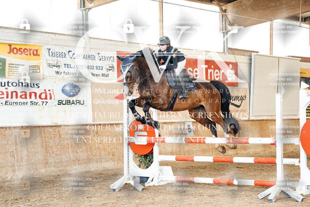 CK905217 | Turnierfotografie Pferdefotografie Trier Rheinland-Pfalz Pferdesport Reitsport Tierfotografie Sportfotografie Pferdevideo Pferdevideografie Equestrianvideography equestrianphotography  - Realisiert mit Pictrs.com