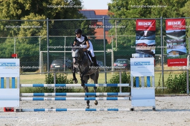 OHT 2022 Röhlingen (81) | Fotografie, Tiere, Hunde, Katzen, Pferde, Sportfotografie, Fotosession, Tierfotografie, Turnierfotografie, Fotografin, Fotograf - Realisiert mit Pictrs.com
