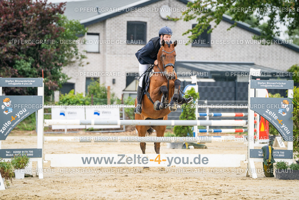 DSC09697 | Pferdegrafie