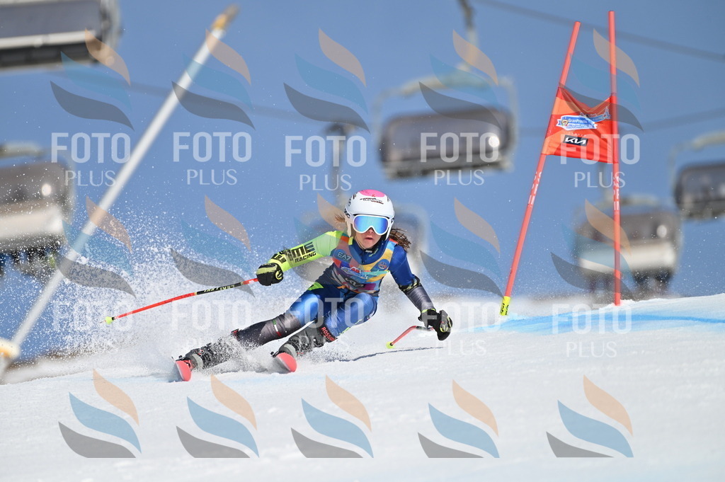 BGV_8799 | holidayphoto