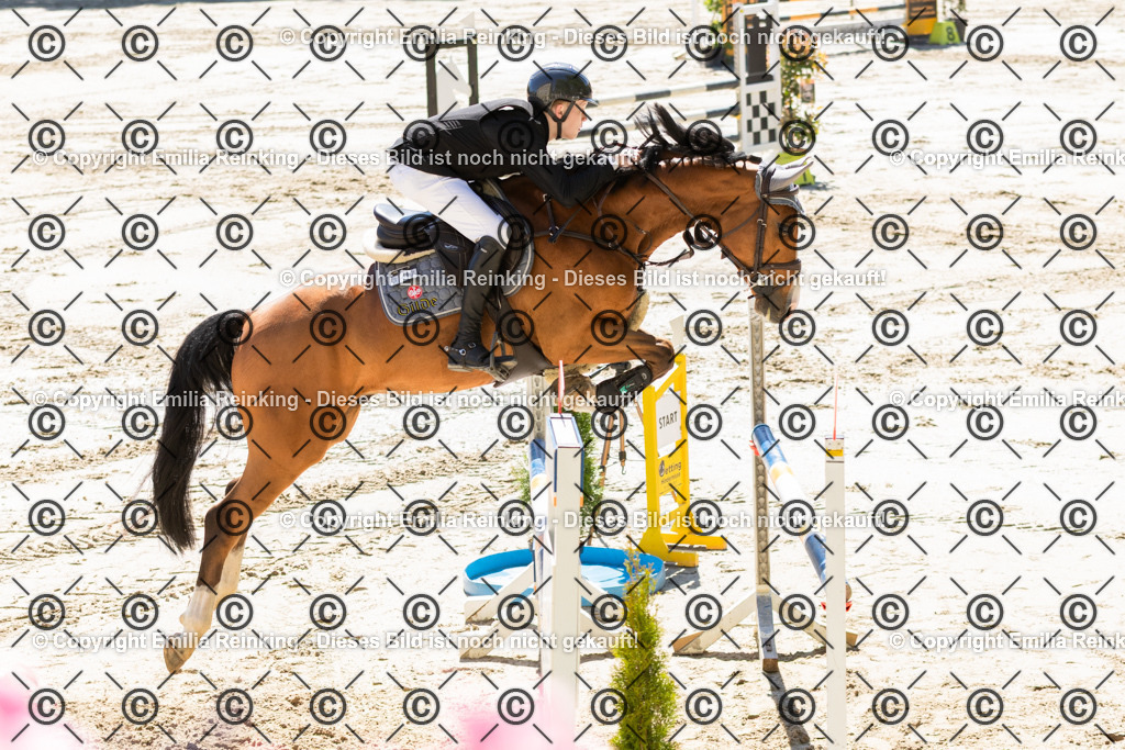 CL5A2442 | Emilia Reinking Fotografie - Realisiert mit Pictrs.com