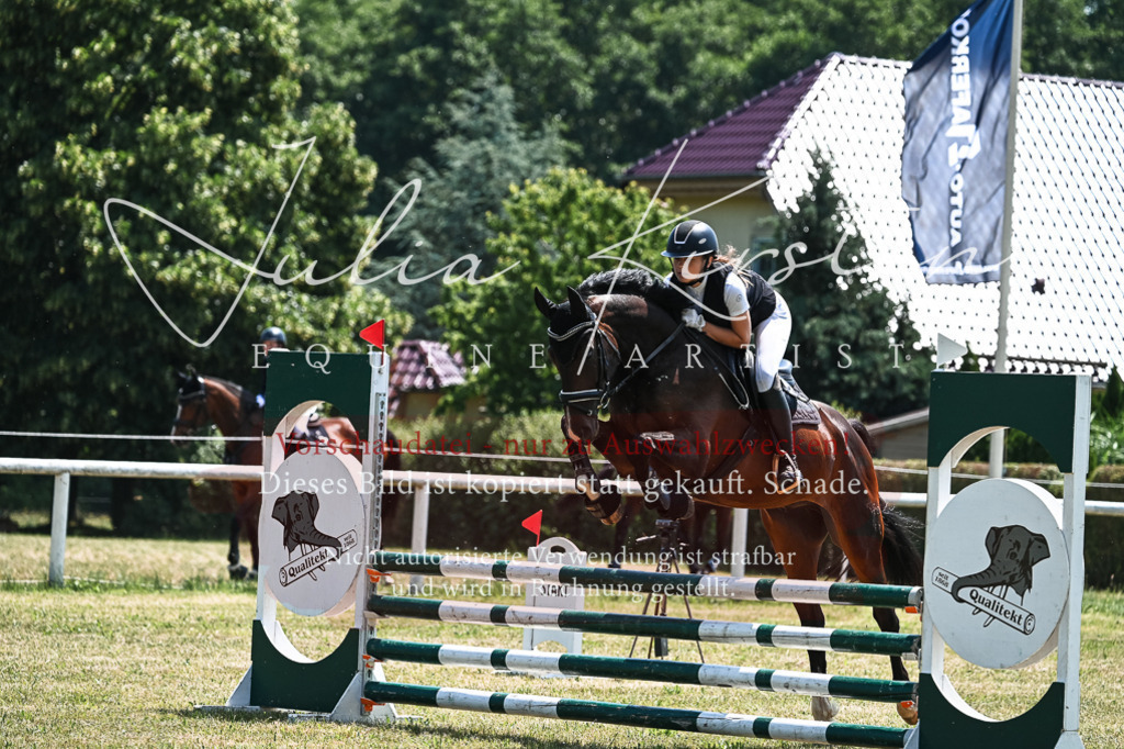 DSC_9982 | Pferde- und Turnierfotografie in Westsachsen. Pferdeportraits, Auftragszeichnungen und intuitive Kunst.