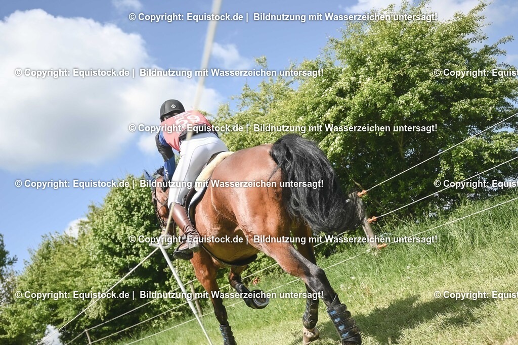 20250517_CCI2_Gelände_1608 | Foto: Thomas Hartig
