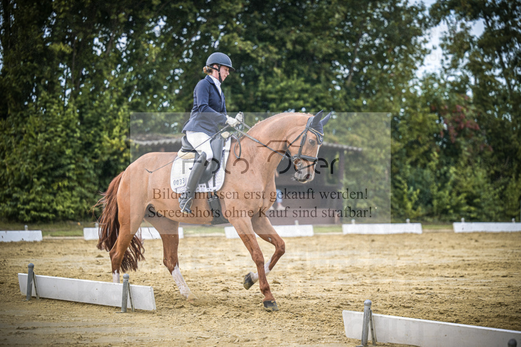 DOS_9650 | Entdecke hochwertige Reitturnierfotos von Foto Oger. Professionell, emotional und authentisch – jetzt Lieblingsmomente im Shop bestellen.Deutschlandweite Turnierfotografie. - Realisiert mit Pictrs.com