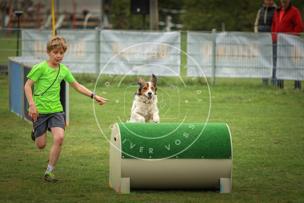 Pfotenfotografie_0L8A1727 | Hundefotografie, Tierfotograf, Pfotenfotografie, Fotoshooting Hund, Hunde Portrait, Hundesport, Hundeportraits, Heideshooting, Hunde, Sportfotograf, Hundefotograf, Turnierhundsport, THS,  - Realisiert mit Pictrs.com