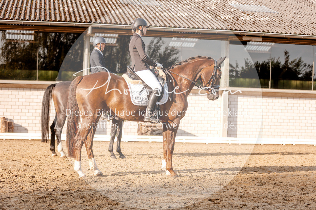 3I6A2475 | Stimmungsvolle Portraits und Reitsportfotografie im Ruhrgebiet und im Münsterland.

Pferdefotografie, Hundefotografie, Tierfotografie, Reportagen, Portraits von Tier und Mensch, Turnierfotografie in Bochum, Recklinghausen, Marl, Haltern am See, Dülmen.. - Realisiert mit Pictrs.com