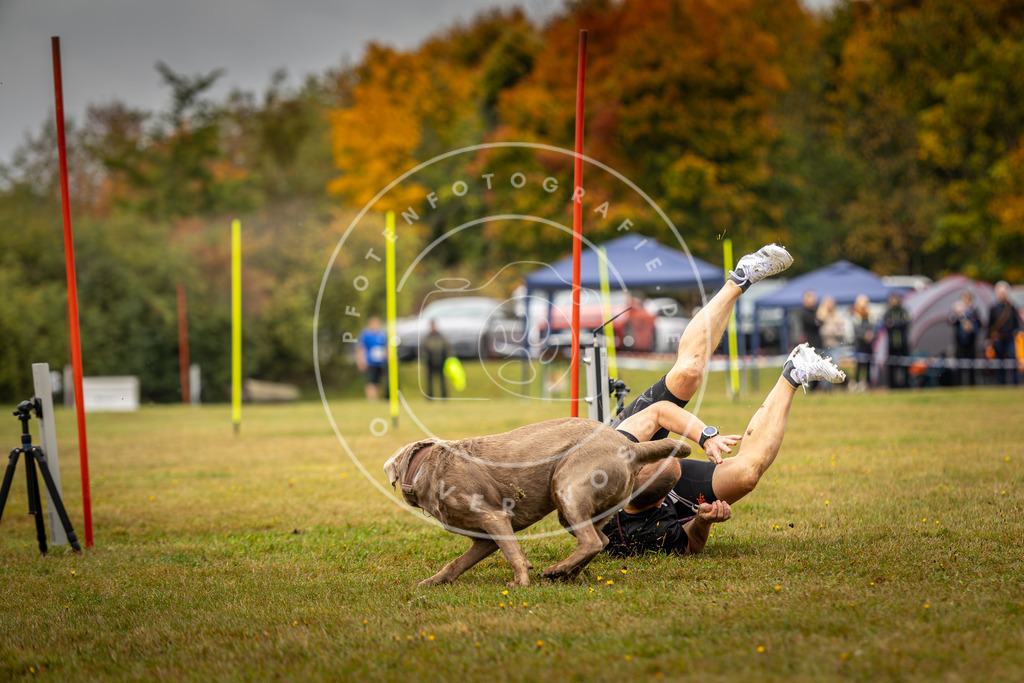 Pfotenfotografie_DV3A2336 | Hundefotografie, Tierfotograf, Pfotenfotografie, Fotoshooting Hund, Hunde Portrait, Hundesport, Hundeportraits, Heideshooting, Hunde, Sportfotograf, Hundefotograf, Turnierhundsport, THS,  - Realisiert mit Pictrs.com
