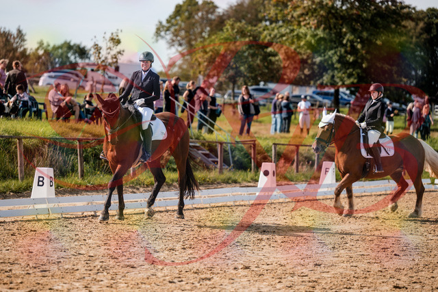2026_10_03_Siefer-Hof_130324_Z63_65558755 | Professionelle Reitsport-, Turnier- und Eventfotografie von Robert Broda. Galerien mit ausgewählten und bearbeiteten Bildern direkt online ansehen und bestellen.