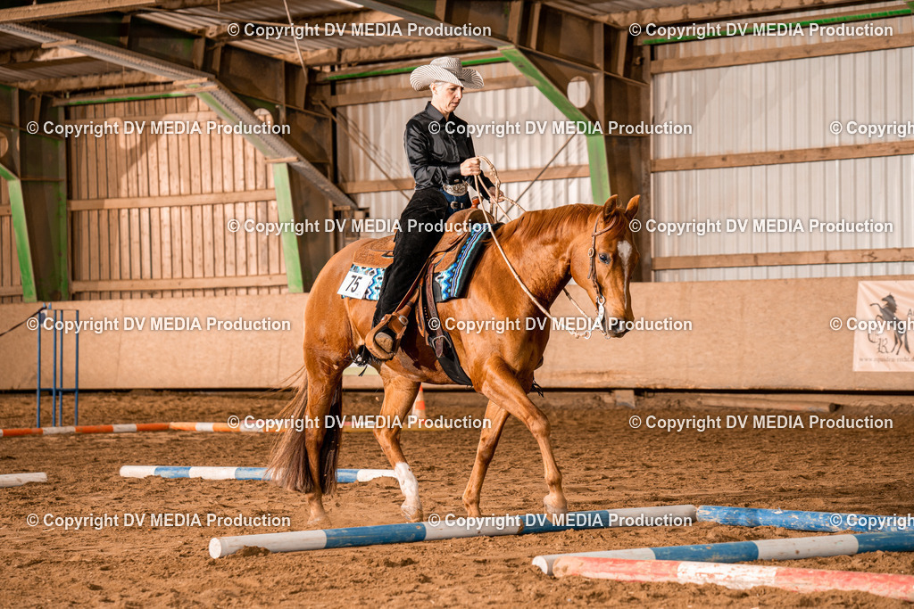 BA300450 | dv-media-shop - Realisiert mit Pictrs.com