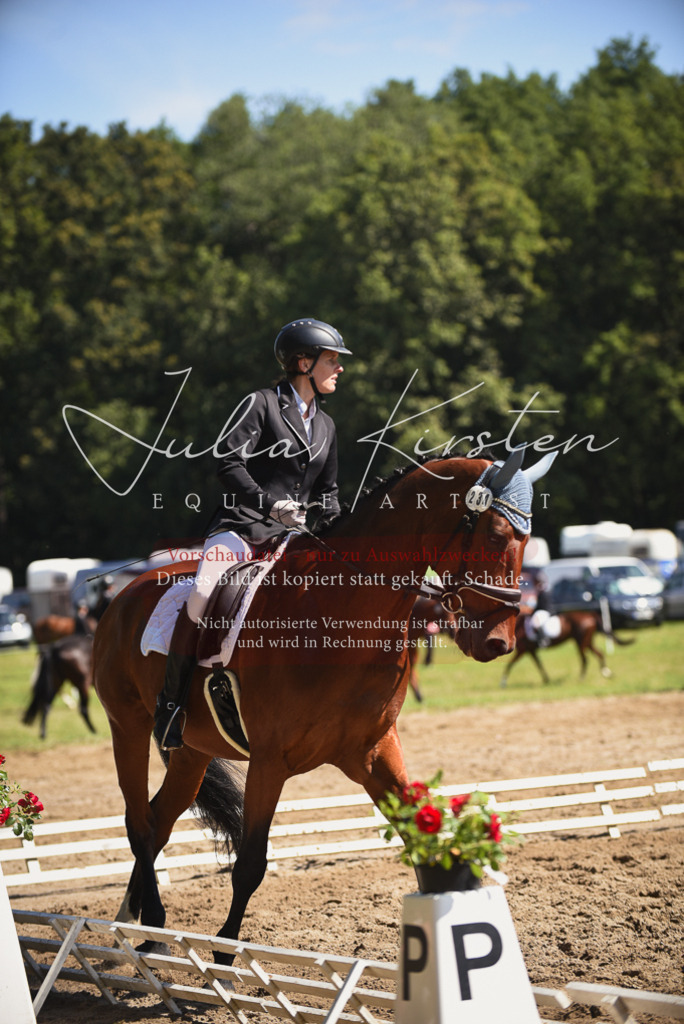 DSC_0440 | Pferde- und Turnierfotografie in Westsachsen. Pferdeportraits, Auftragszeichnungen und intuitive Kunst.