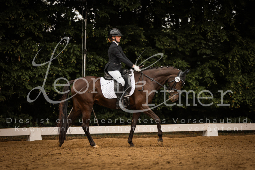 DoDrE00425 | Leoni Ertmer Photography - Realisiert mit Pictrs.com