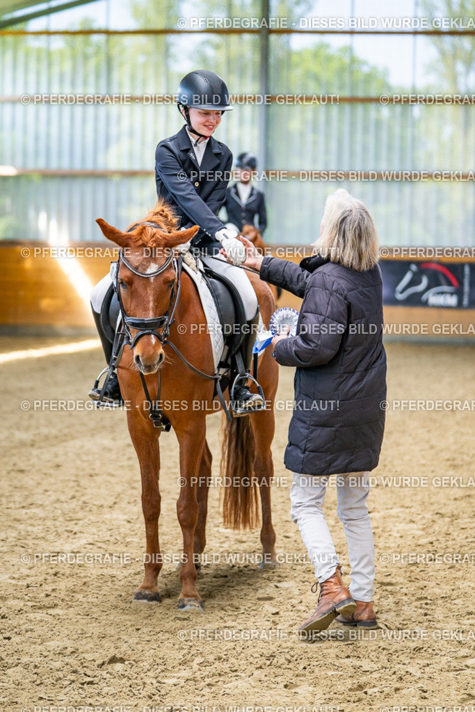 DSC03461 | Pferdegrafie