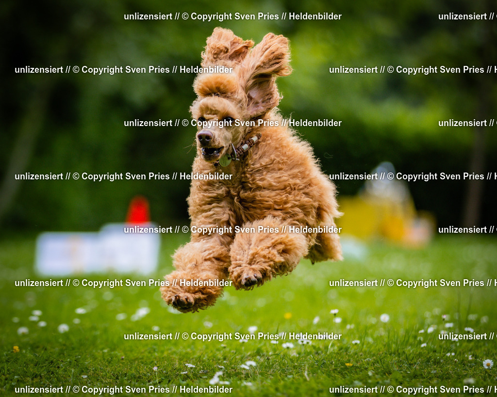 Sven Pries | 2025-05-29 - Pudelrennen KA-Durlach - Realisiert mit Pictrs.com