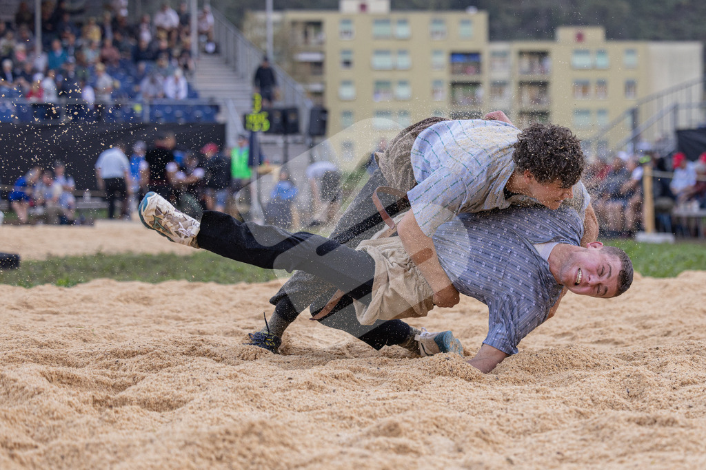 TESSINER2025_02_Gang_9508 | Die Schwinger des Schwyzer Kantonalen Schwingerverbandes: Fotos, die Dynamik und Leidenschaft festhalten, sowie emotionale Momente aus dem traditionellen Schwingsport zeigen. - Realisiert mit Pictrs.com