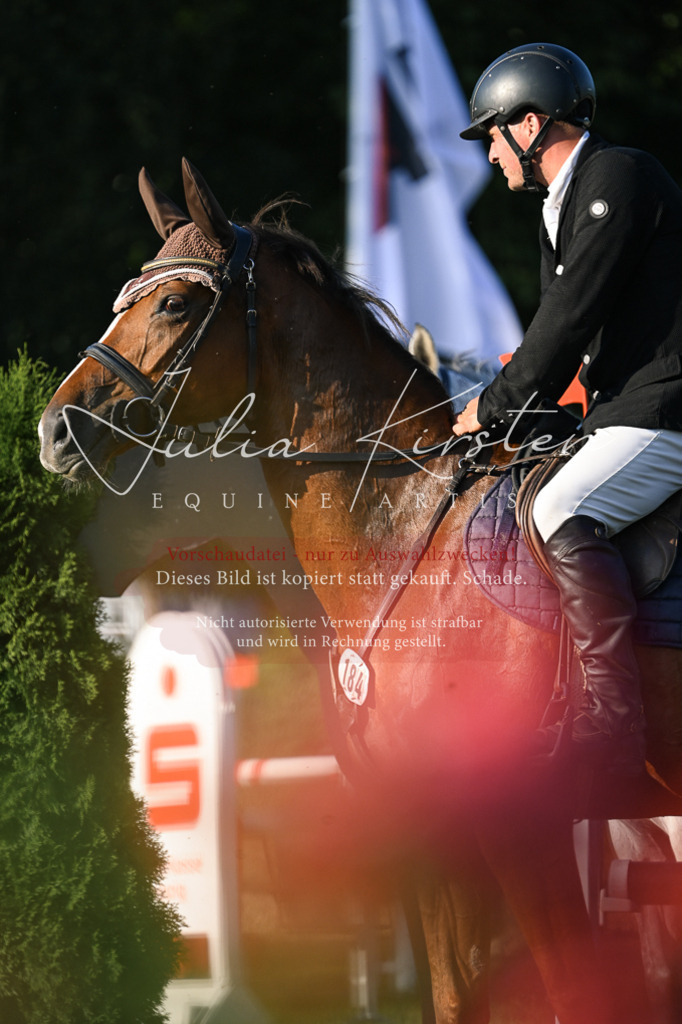 DSC_1848 | Pferde- und Turnierfotografie in Westsachsen. Pferdeportraits, Auftragszeichnungen und intuitive Kunst.