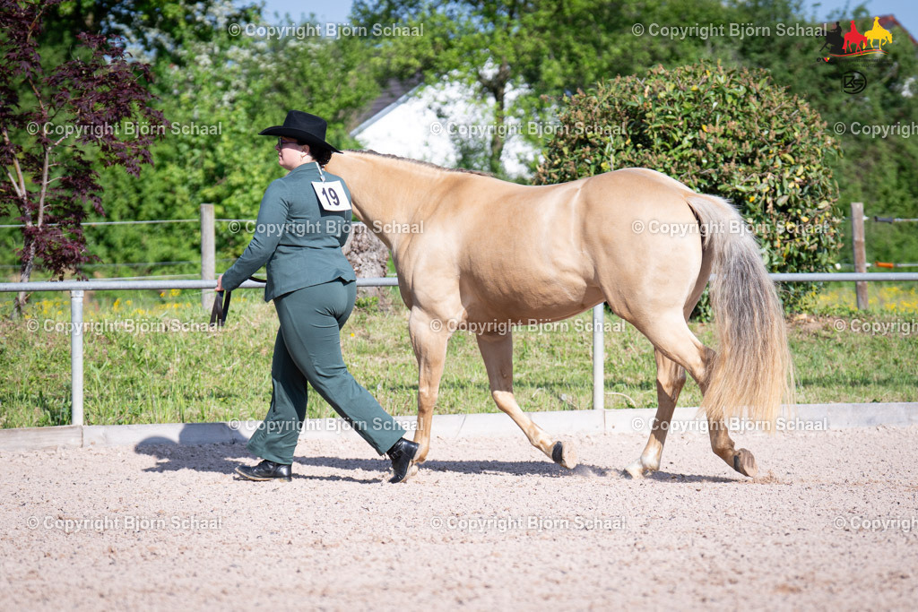 LMB07188 | BS-foto