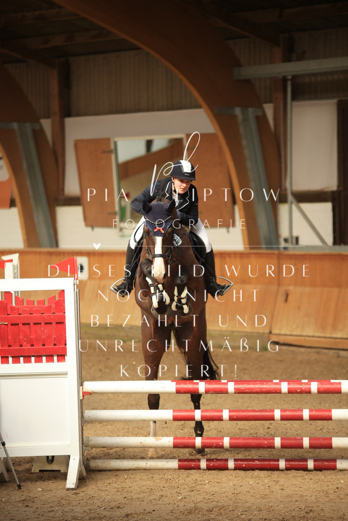 IMGT0588 | pl-fotografie