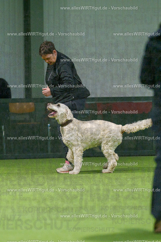 7R504282 | Professionelle Tierfotografie in Mönchengladbach von Daniel Wirth (allesWIRTHgut). Liebevolle & natürliche Bilder von Hunden & Katzen für unvergessliche Erinnerungen.