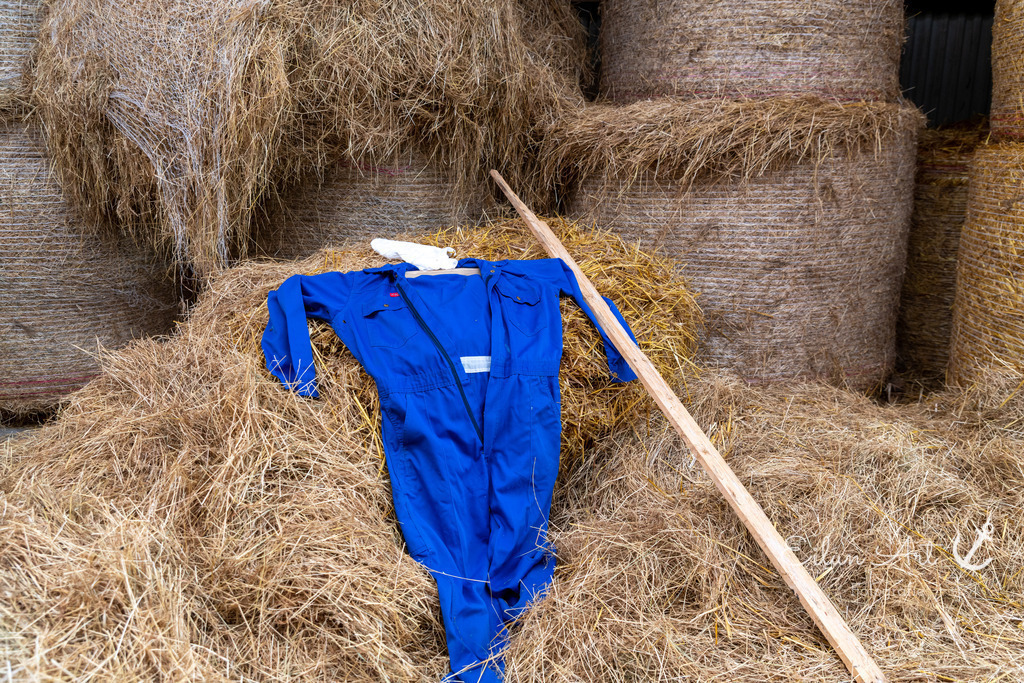 EAF_2161 | Eilun-Art-Fotografie Levke Martens, ihre Fotografin für Immobilien- und Landschaftsfotografie auf Föhr, Föhrer Motive als Poster, Leinwand, hinter Acrylglas oder stelle dir deinen eigenen Monatskalender zusammen, mit nur einem Klick