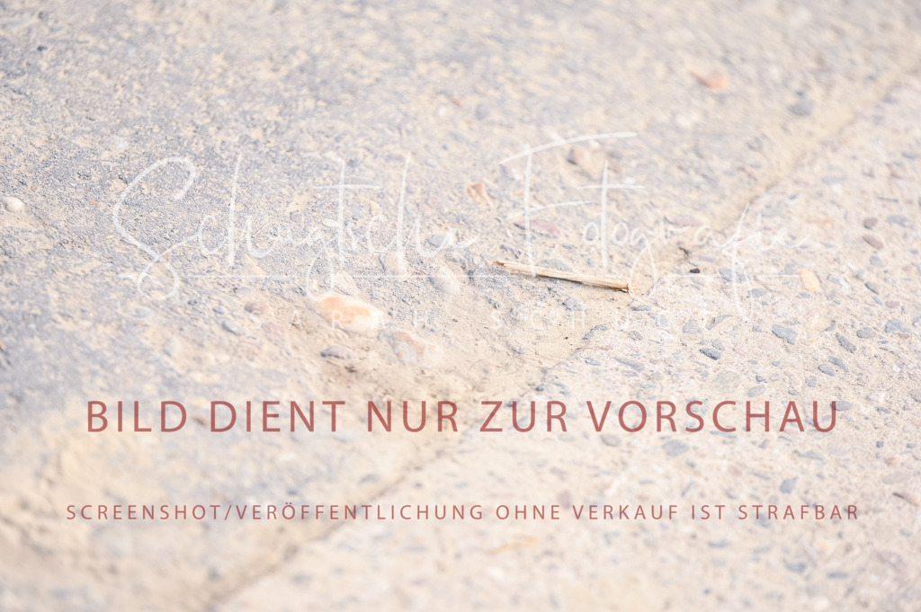 Schugtsche-Aluta25-52.Dressurprf.M2Kand-105 | Schugtsche Fotografie - Realized with Pictrs.com