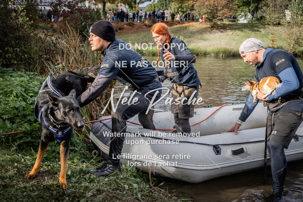nelerasche_Sa1545-Ende_171 | nelerasche
