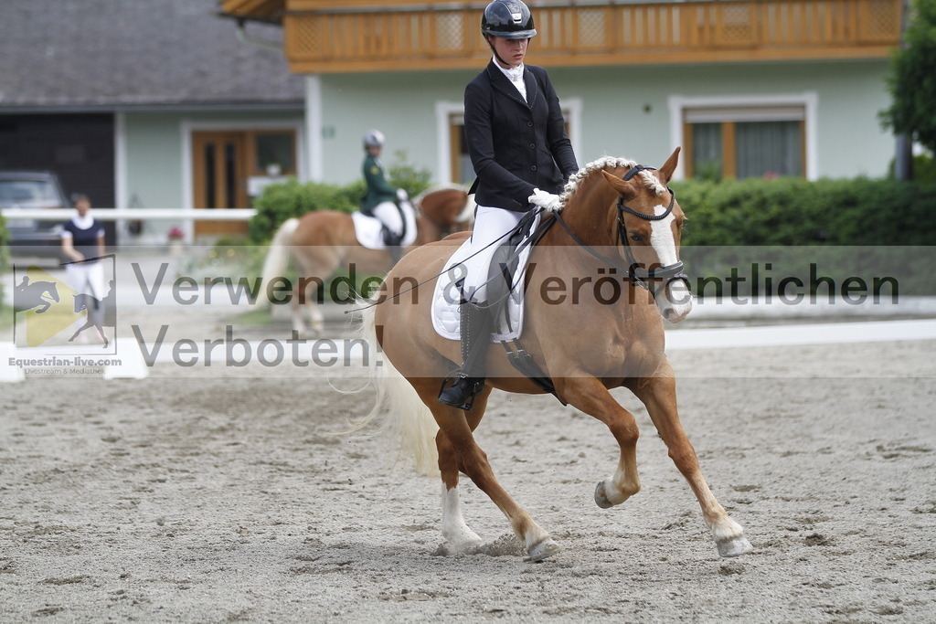_MG_0468 | equestrian-live-com