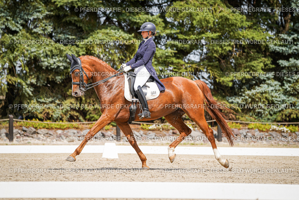 DSC06304 | Pferdegrafie