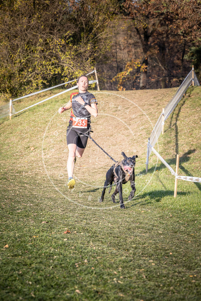 CaniXpix_0L8A9717 | Hundefotografie, Tierfotograf, Pfotenfotografie, Fotoshooting Hund, Hunde Portrait, Hundesport, Hundeportraits, Heideshooting, Hunde, Sportfotograf, Hundefotograf, Turnierhundsport, THS,  - Realisiert mit Pictrs.com