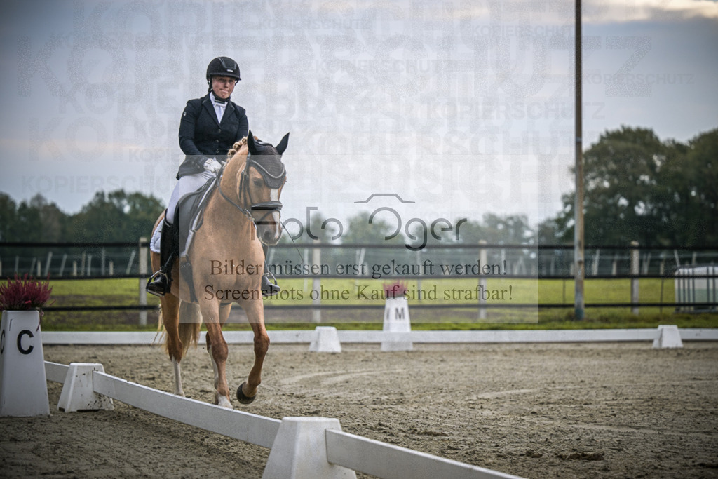 DOS_2160 | Entdecke hochwertige Reitturnierfotos von Foto Oger. Professionell, emotional und authentisch – jetzt Lieblingsmomente im Shop bestellen.Deutschlandweite Turnierfotografie. - Realisiert mit Pictrs.com