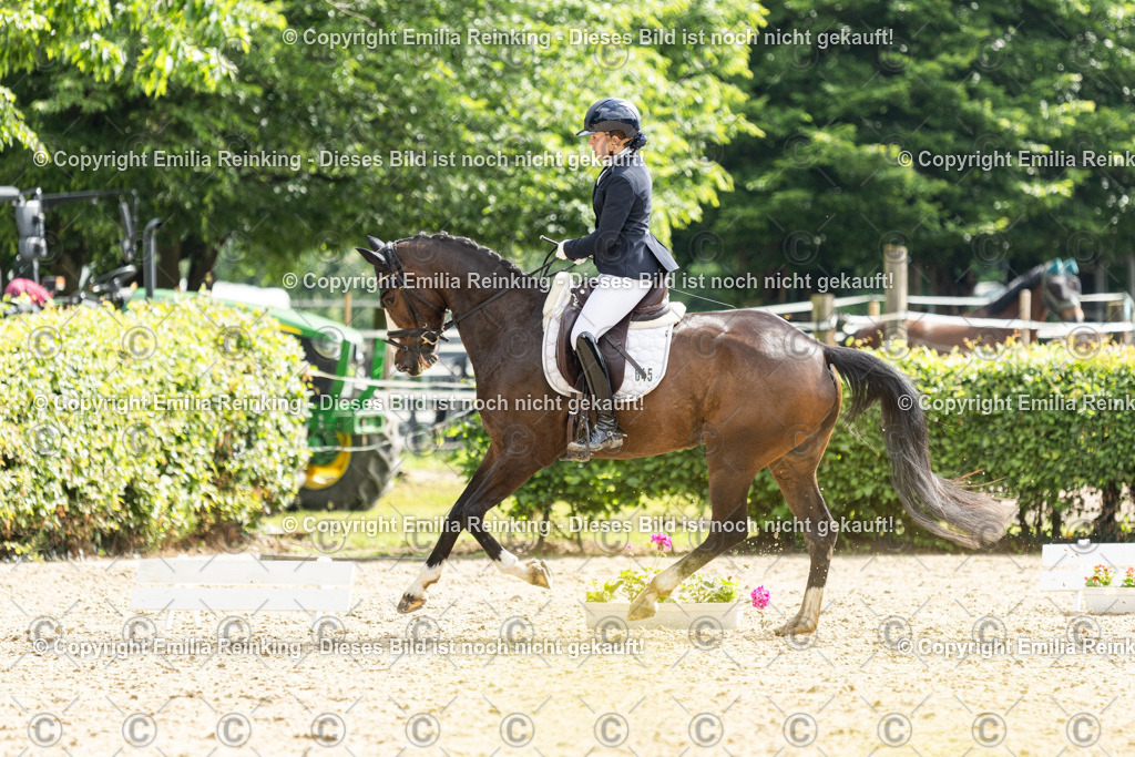 CL5A6065 | Emilia Reinking Fotografie - Realisiert mit Pictrs.com