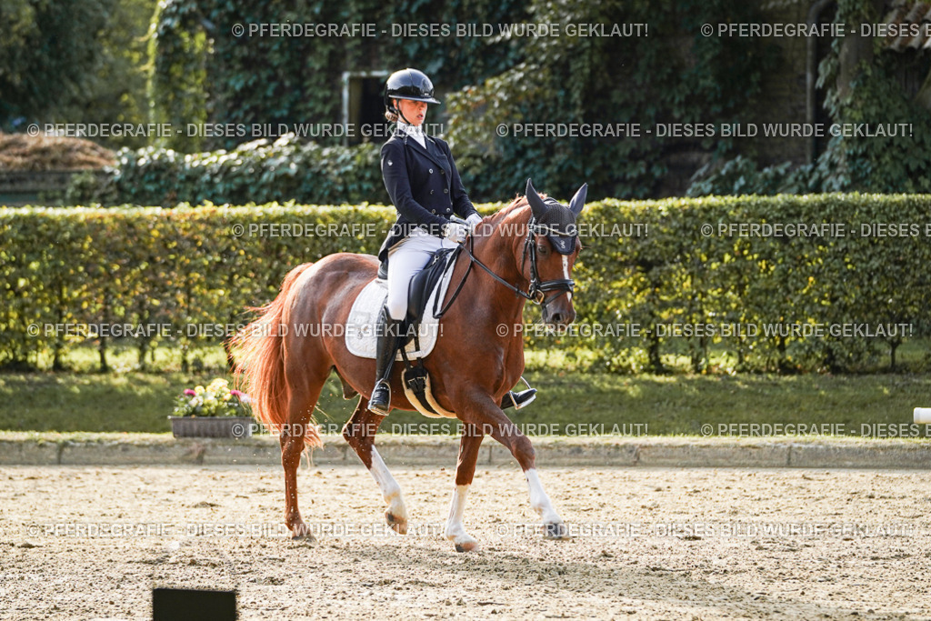 DSC04701 | Pferdegrafie