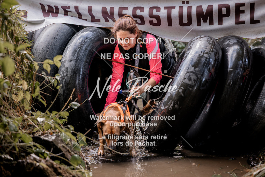 nelerasche_Hunsrück2026_Sa1400-1500_203 | nelerasche
