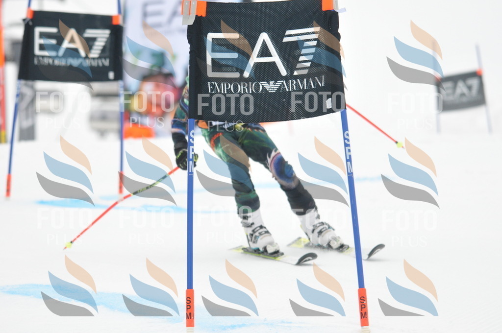 DSC_7933 | holidayphoto