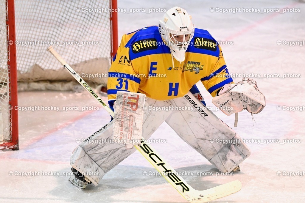 ESC Steindorf vs. EHC Althofen 13.1.2024 | #31 Horn Fabian