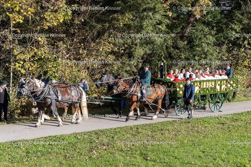 LBT24-32 | foto-bettina-krinner - Realisiert mit Pictrs.com