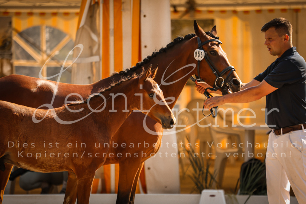 11.DoRP00114 | Leoni Ertmer Photography - Realisiert mit Pictrs.com