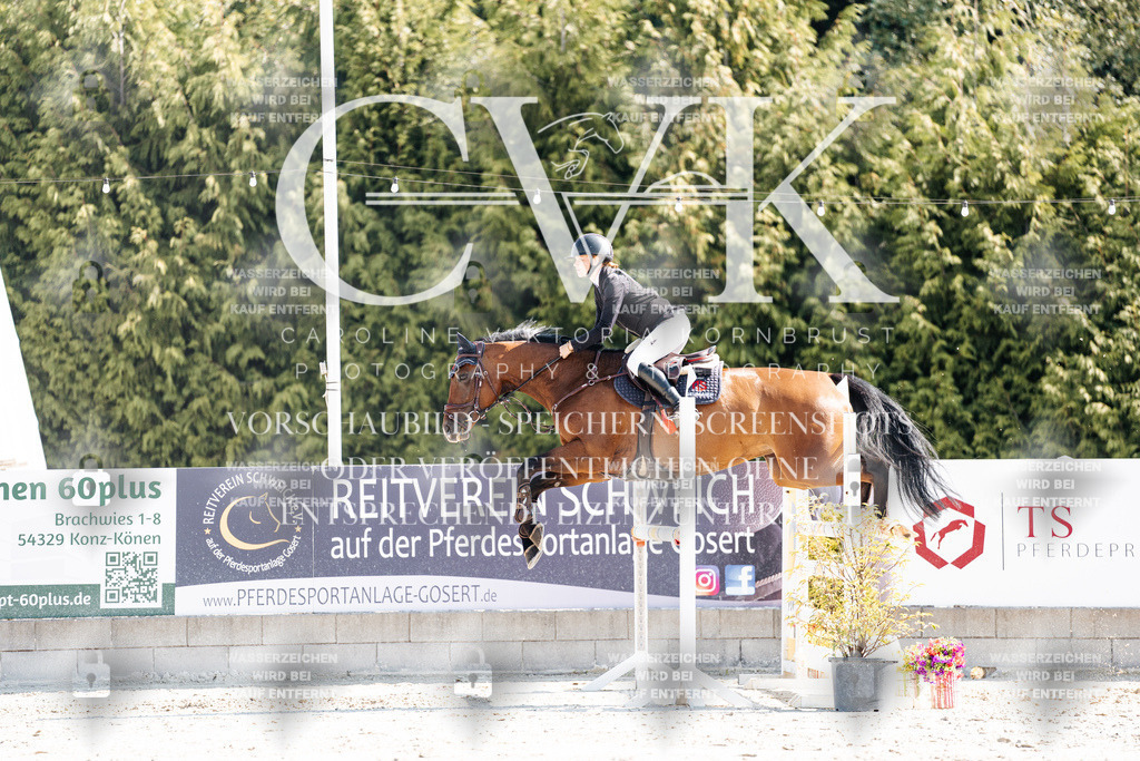CK902685 | Turnierfotografie Pferdefotografie Trier Rheinland-Pfalz Pferdesport Reitsport Tierfotografie Sportfotografie Pferdevideo Pferdevideografie Equestrianvideography equestrianphotography  - Realisiert mit Pictrs.com