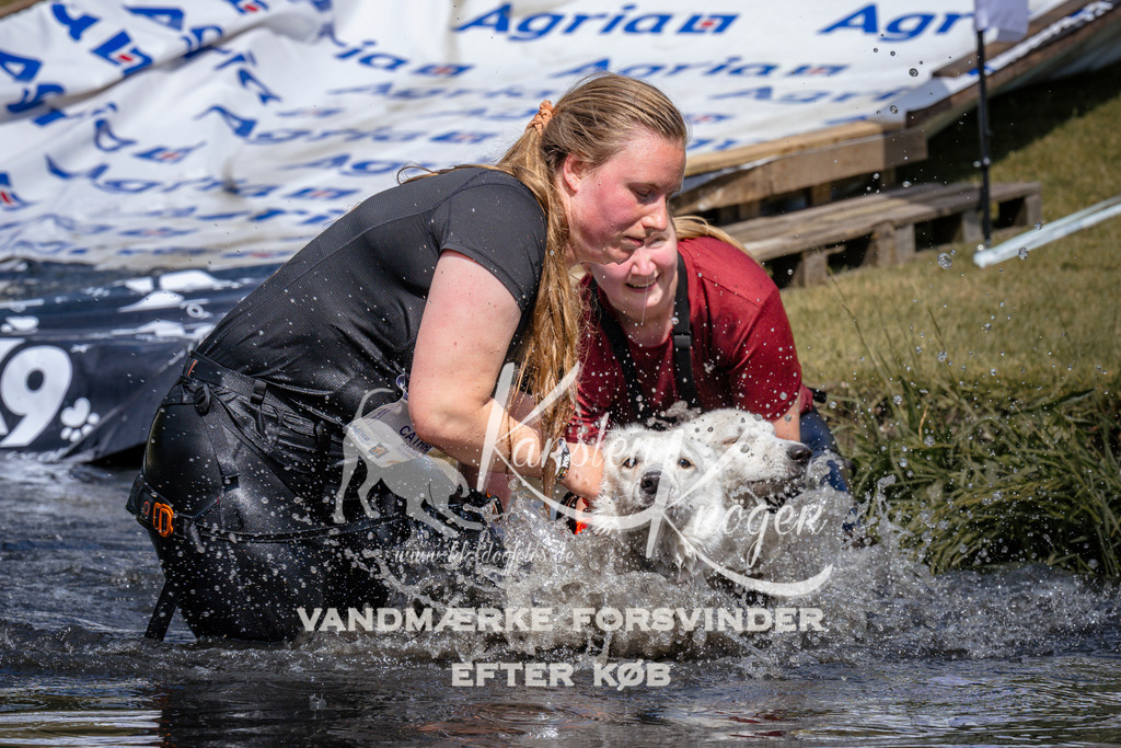 _ZZ940890950 | kk-dogfotos