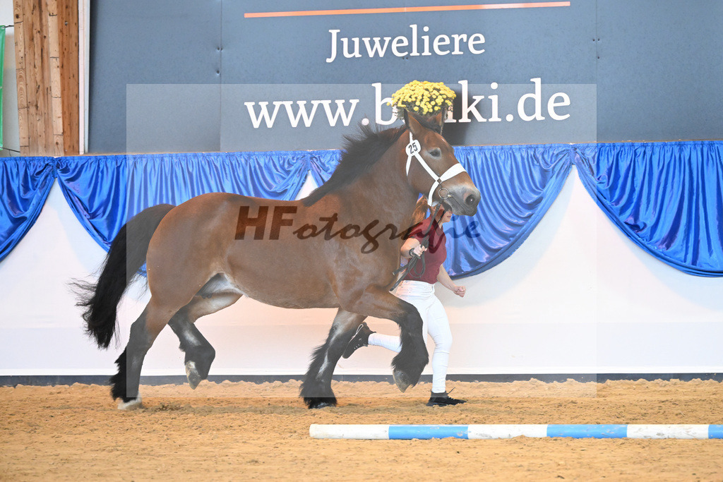 Kat-Nr. 25 Nele_Pferdehof Schwittersdorf_53221114 | hf-fotografie - Realizzato con Pictrs.com