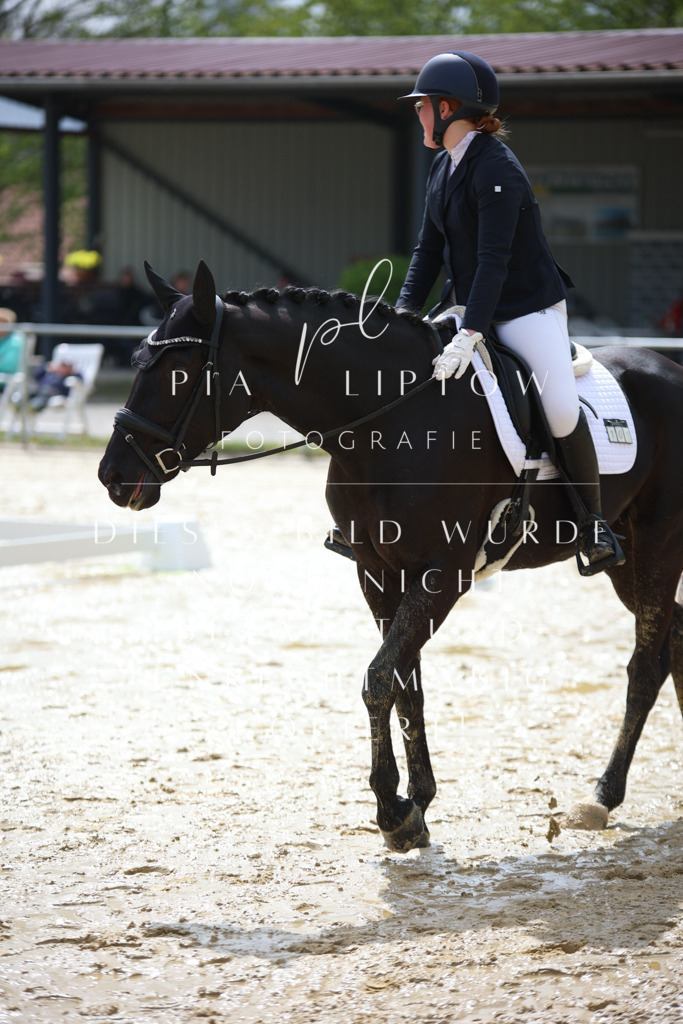 IMGT3179 | pl-fotografie