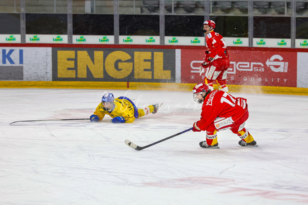 EHCB vs HCD-0673 | Sportbilder, Sportfotograf, Hochzeits- und Eventfotografin, Flugshows, Portraits und Tiershooting, Aviation, Downhill, Nationalleague, Swissleague, International