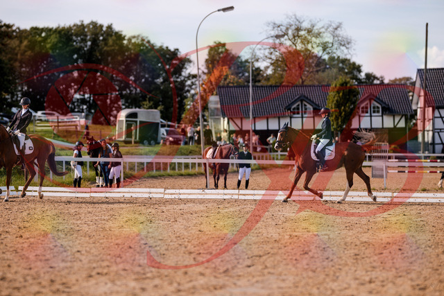 2026_10_03_Siefer-Hof_133120_Z81_84840625 | Professionelle Reitsport-, Turnier- und Eventfotografie von Robert Broda. Galerien mit ausgewählten und bearbeiteten Bildern direkt online ansehen und bestellen.