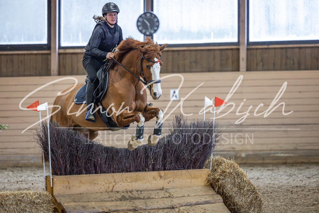 20260222-_3LI1592 | Tierfotografie Pferde, Hunde, Katzen, Haustiere.
Turnierfotografie Reitturniere, Reiten, Springreiten, Dressur in Hanau, dem Main-Kinzig-Kreis und dem Rhein-Main- Gebiet um Frankfurt