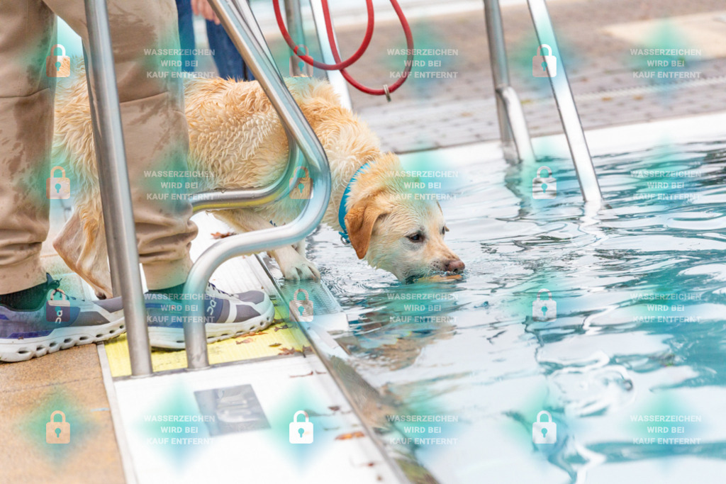 _HP_7209_1000o | HetPix, HetPix Fotodesign, Fotografie, Fotodesign, Webshop, Sportfotografie, Portraitfotografie, Onlineshop, Sportfotografie, Polch, Motorsportfotografie, Eventfotografie