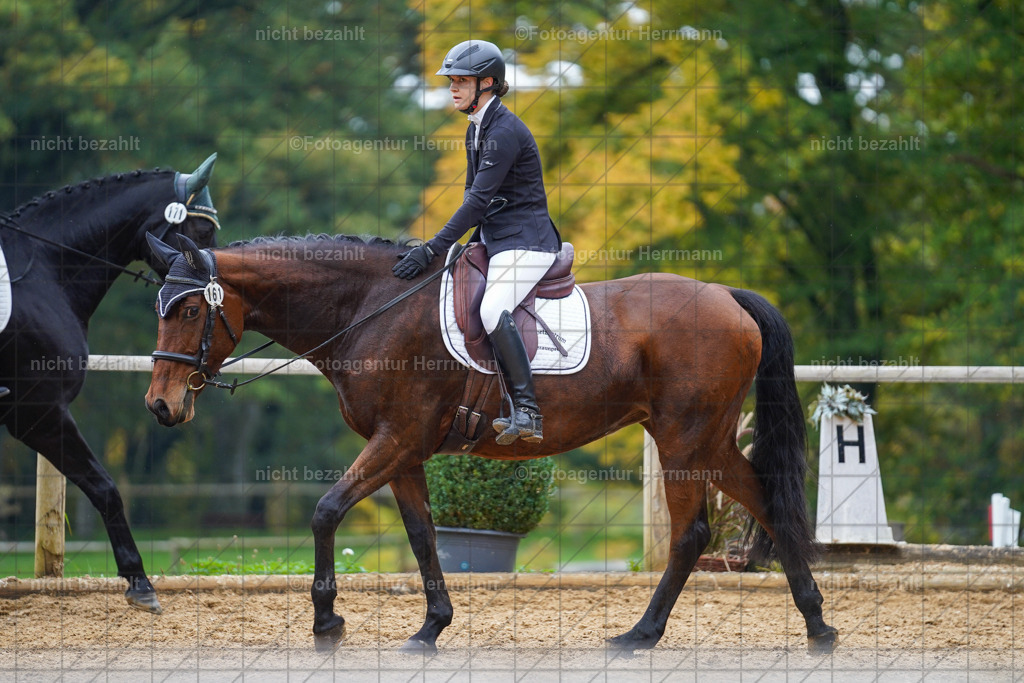 20221008-FAH01702 | Diessen am Ammersee, 2022, Dressur- und Springturnier, Reitsportbilder, Turnierfotografen Bayern, Pferdefotografen, Fotoagentur Herrmann, Turnierbilder
